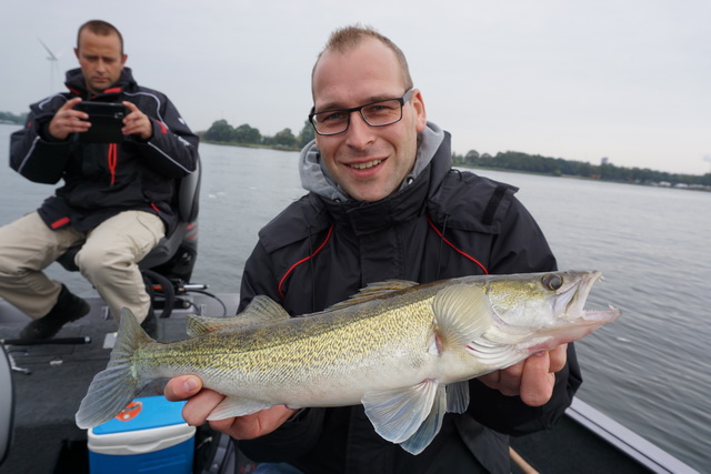 Die ersten schönen Zander waren schon im Boot.