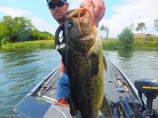 Schöner 56cm langer Schwarzbarsch aus dem Fluss, der dem unwiderstehlichen Gunki Vista Worm verfiel.