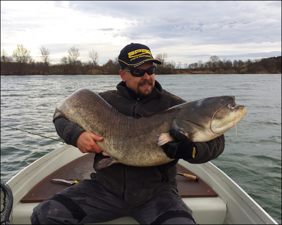 Eine Big-Fish Rute der Extraklasse – ein 1,70m großer Wels bewältigt die BaitShaft mühelos.