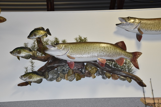 replica-prnparate-fr-die-kein-fisch-sterben-musste