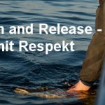 Catch and Release – mit Respekt